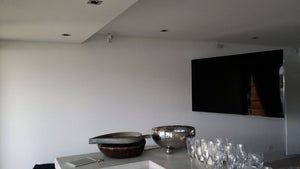 Enormous TV with enormous swivel, Watsons Bay